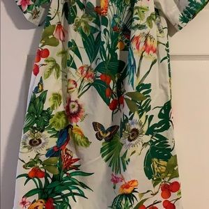 J Crew Ratti Into The Wild Dress